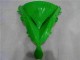 Carene Moto & Plastica Moto EX650 2006-2008 - Verde Nero